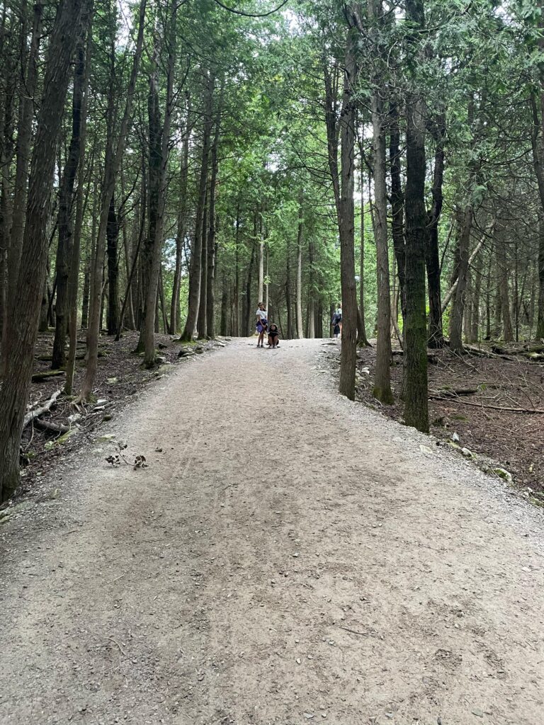 Trilha no parque Cypress Lake.